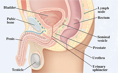 prostate cancer treating in vijayawada